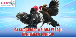 Đá Gà Cựa Dao - 6 Bí Mật Về Loại Hình Giải Trí Đỉnh Cao