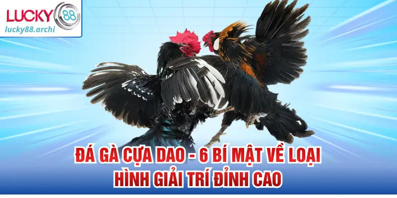 Đá Gà Cựa Dao - 6 Bí Mật Về Loại Hình Giải Trí Đỉnh Cao